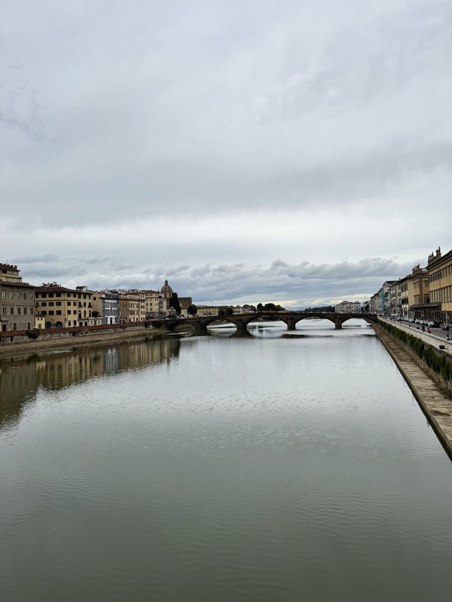 plotouise's tweet image. 