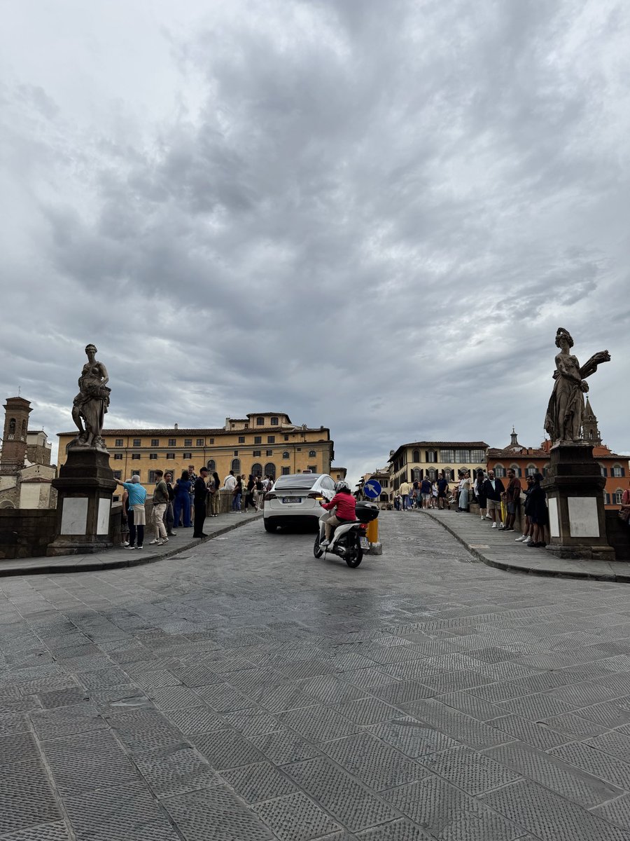 plotouise's tweet image. 