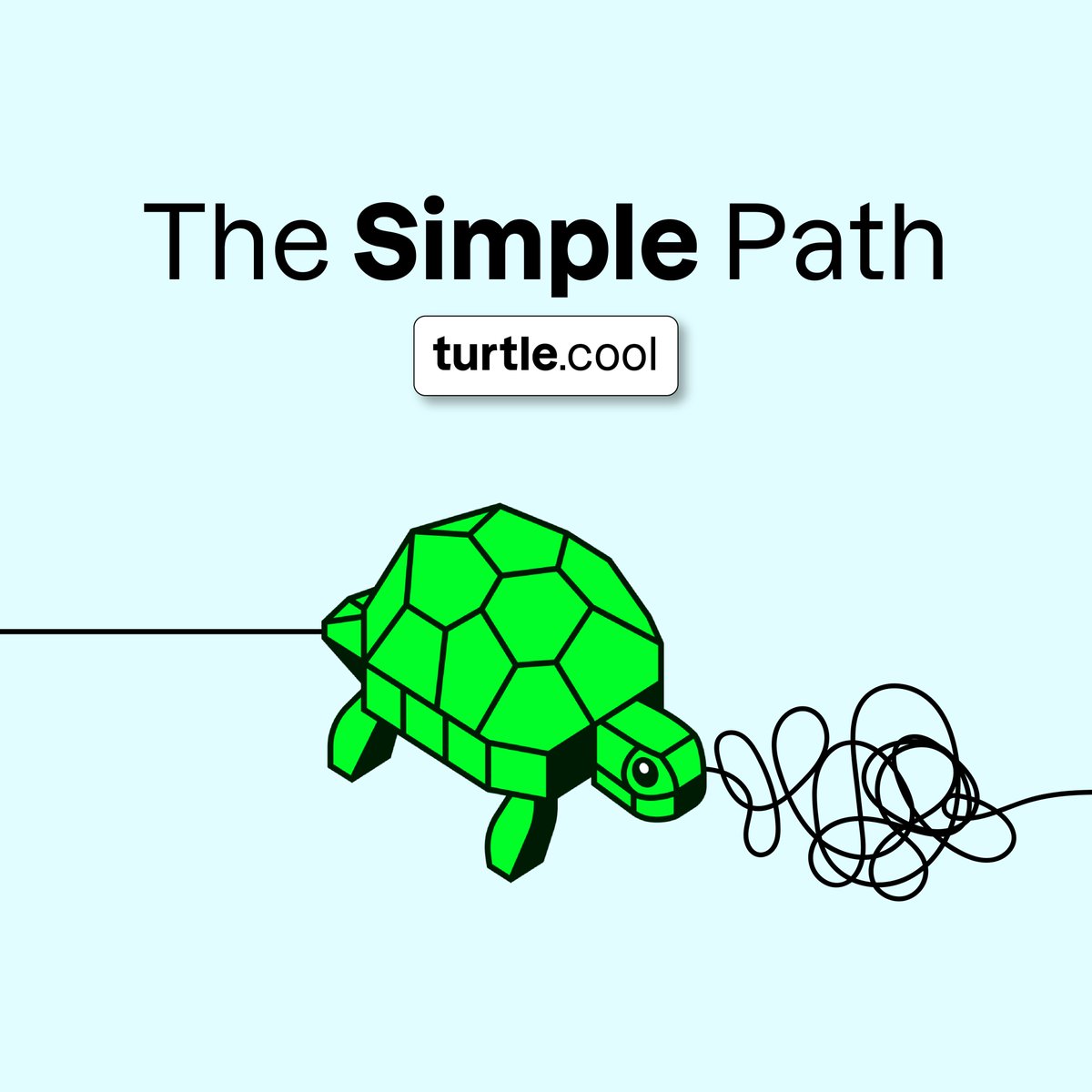 turtle_app tweet media