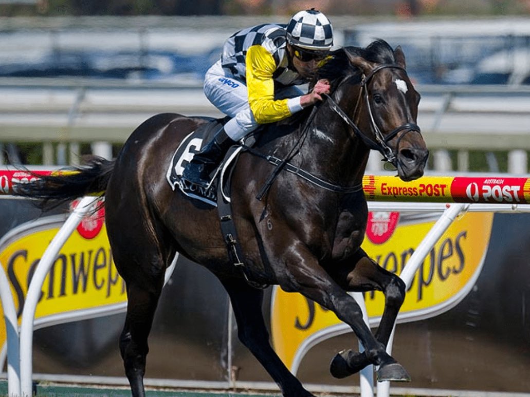 TrevPunter's tweet photo. He had rockstar looks with the V8 engine under the hood.
Champion racehorse.
Outstanding stallion.
RIP #SoYouThink https://t.co/qr0MxCauWY