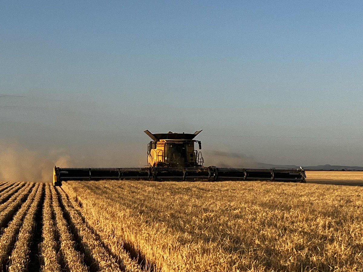 No smoke today 🤦‍♂️🤦‍♂️🤦‍♂️ yield is more than I thought with a dry finish so pretty happy at the moment