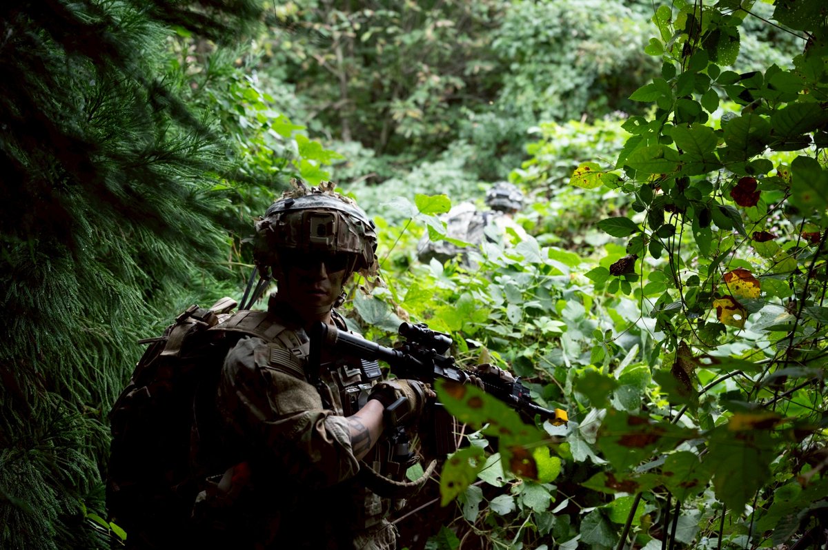 DEVOR04's tweet image. 森からの脱出→孤立した味方への救援
#operationgodzilla
#blackboar
photo @mkxw