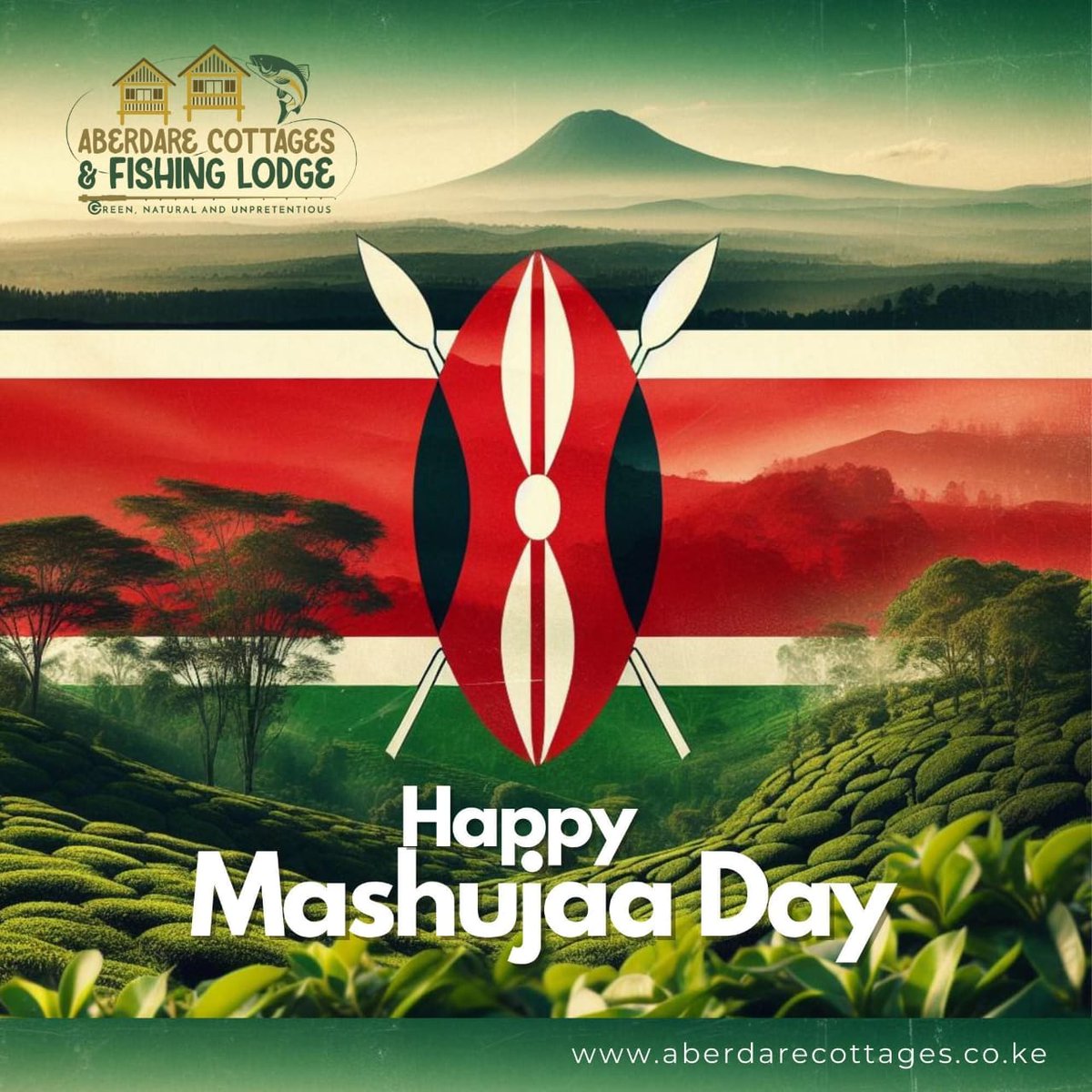 Aberdare Cottages & Fishing Lodge tweet media