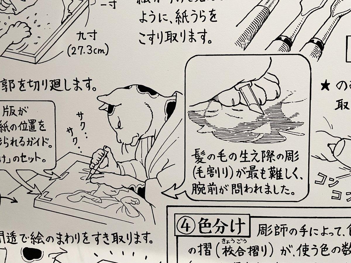 すー (@56suutan) / Posts / X