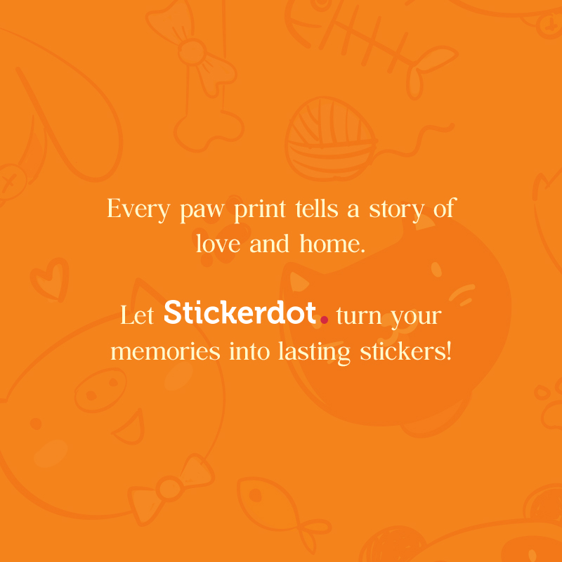 StickerDot's tweet image. From precious #pawprints to unforgettable memories — make them last with quality stickers. 🐾

Take advantage of our #Spooky #StickerSale and enjoy special #savings on selected products! Tap this link for promo details. 👉 tinyurl.com/7uyF62

#pawsome #freeshipping