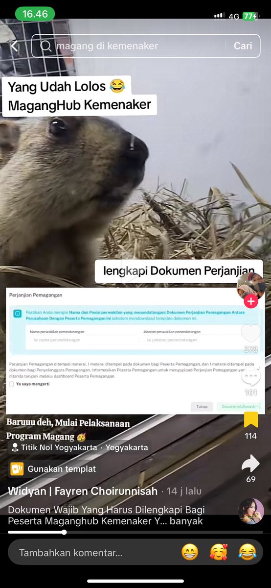 rumibubibo's tweet photo. Ini liatnya di bagian mana web Maganghub yaa? https://t.co/60ZAlg1QbZ
