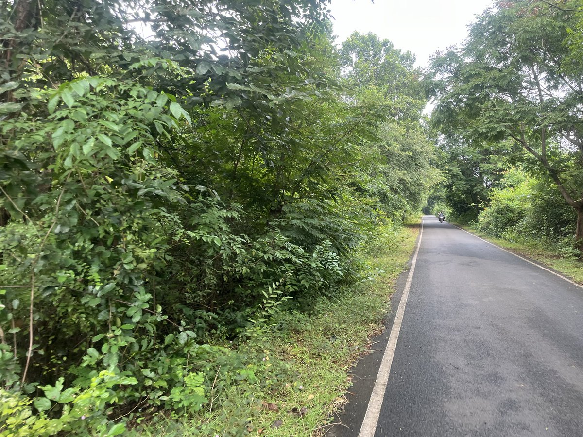 Prakash Reddy ЁЯЗоЁЯЗ│ (@predyys) on Twitter photo Dear <a href="/DfoDhenkanal/">DFO DHENKANAL</a> & <a href="/districtadmndkl/">District Dhenkanal</a>  рмПрм╣рм╛ рм╣рнЗрмЙрмЫрм┐ рммрм╛рммрмирнНрмз-рммрморнНрмкрм╛  рм░ рморнБрмЦрнНрнЯ рм░рм╛рм╕рнНрмдрм╛ , рмПрм╣рм┐ рмЬрм╛рмЧрм╛рм░рнЗ рмжрм┐рми рммрнЗрм│рм╛ рммрм┐ рм╣рм╛рмдрнА рмнрнЯ рм░рм╣рм┐рмерм╛рмП , рмдрнЗрмгрнБ рмПрм╣рм╛рмХрнБ рмЧрнБрм░рнБрмдрнНрн▒ рмжрнЗрмЗ рм░рм╛рм╕рнНрмдрм╛ рм░ рмЙрмнрнЯ рмкрм╛рм░рнНрм╢рнНрн▒ рмХрнБ рмкрм░рм┐рм╕рнНрмХрм╛рм░ рмХрм░рм╛рмпрм╛рмЙ , рмирмЪрнЗрмд рмкрнНрм░рм╢рм╛рм╢рми рм░ рмЕрммрм╣рнЗрм│рм╛ рмкрм╛рмЗрмБ рм╣рнБрмПрмд рмЖрмЧрм╛рморнА рмжрм┐рмирм░рнЗ рмХрм╛рм╣рм╛рм░ рмЬрнАрммрми рмпрм╛рмЗрмкрм╛рм░рнЗ Dear <a href="/DfoDhenkanal/">DFO DHENKANAL</a> & <a href="/districtadmndkl/">District Dhenkanal</a>  рмПрм╣рм╛ рм╣рнЗрмЙрмЫрм┐ рммрм╛рммрмирнНрмз-рммрморнНрмкрм╛  рм░ рморнБрмЦрнНрнЯ рм░рм╛рм╕рнНрмдрм╛ , рмПрм╣рм┐ рмЬрм╛рмЧрм╛рм░рнЗ рмжрм┐рми рммрнЗрм│рм╛ рммрм┐ рм╣рм╛рмдрнА рмнрнЯ рм░рм╣рм┐рмерм╛рмП , рмдрнЗрмгрнБ рмПрм╣рм╛рмХрнБ рмЧрнБрм░рнБрмдрнНрн▒ рмжрнЗрмЗ рм░рм╛рм╕рнНрмдрм╛ рм░ рмЙрмнрнЯ рмкрм╛рм░рнНрм╢рнНрн▒ рмХрнБ рмкрм░рм┐рм╕рнНрмХрм╛рм░ рмХрм░рм╛рмпрм╛рмЙ , рмирмЪрнЗрмд рмкрнНрм░рм╢рм╛рм╢рми рм░ рмЕрммрм╣рнЗрм│рм╛ рмкрм╛рмЗрмБ рм╣рнБрмПрмд рмЖрмЧрм╛рморнА рмжрм┐рмирм░рнЗ рмХрм╛рм╣рм╛рм░ рмЬрнАрммрми рмпрм╛рмЗрмкрм╛рм░рнЗ