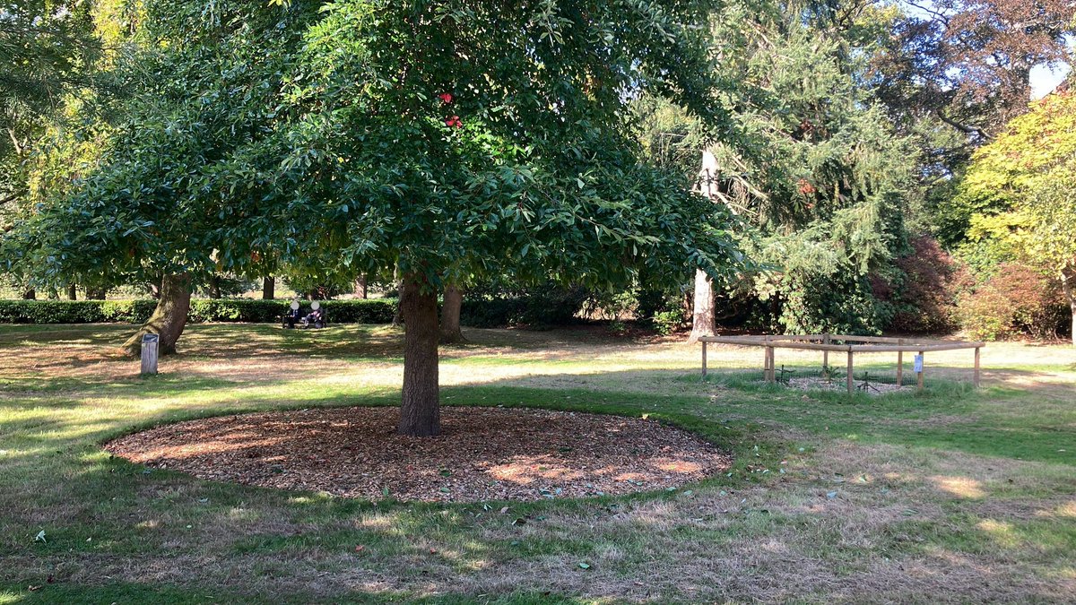 The Langley Park Arboretum has had lots of attention recently, thanks to the hard work of our rangers, practical conservation attendees &amp; corporate volunteer groups. Please do come and visit soon!