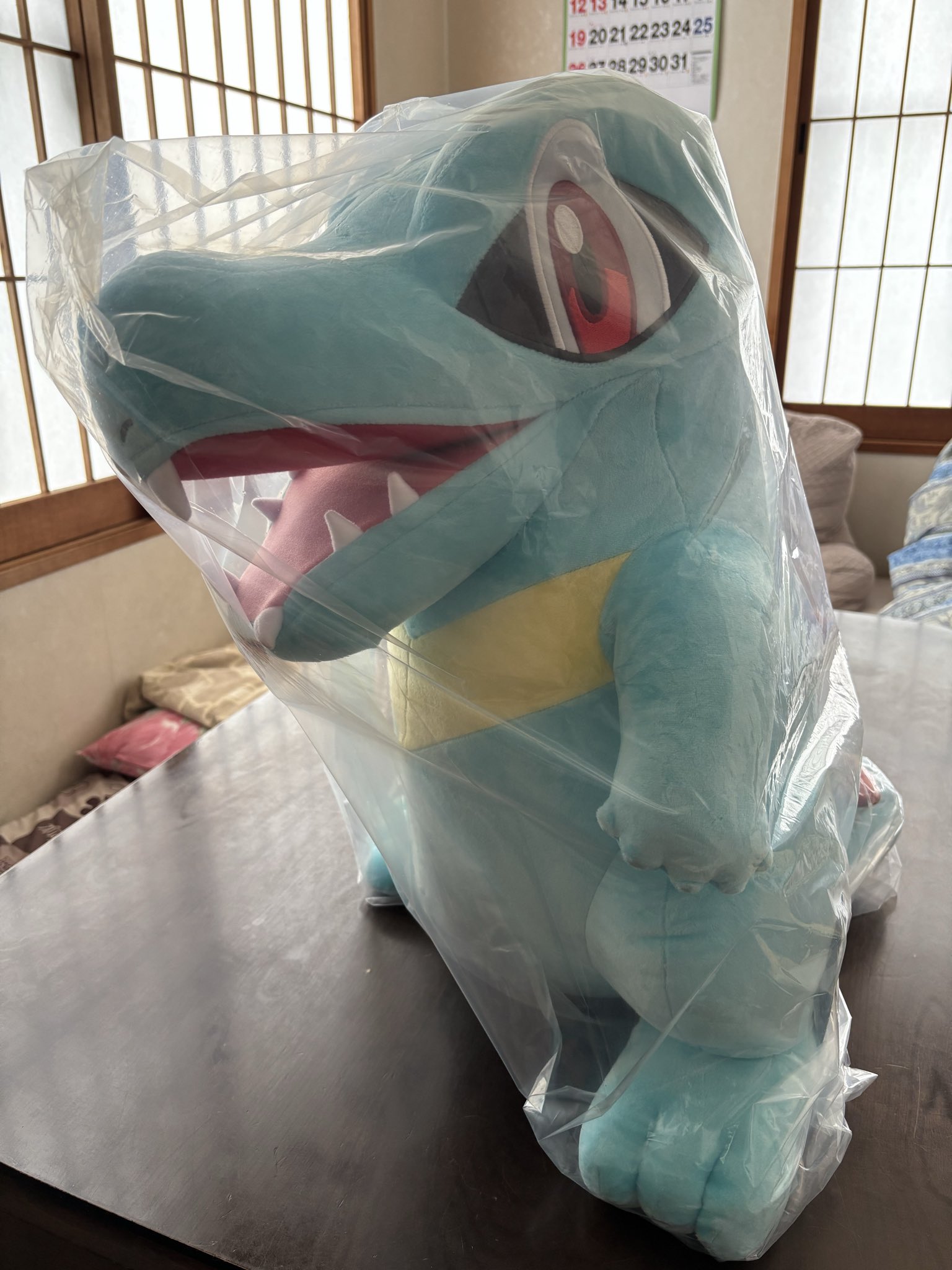 めと🐊＆ななは🐸 on X: 