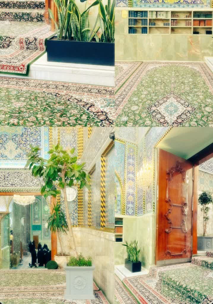 خونه باید سبز باشه، سبز ...
مخصوصا خونه ارباب💚
‌