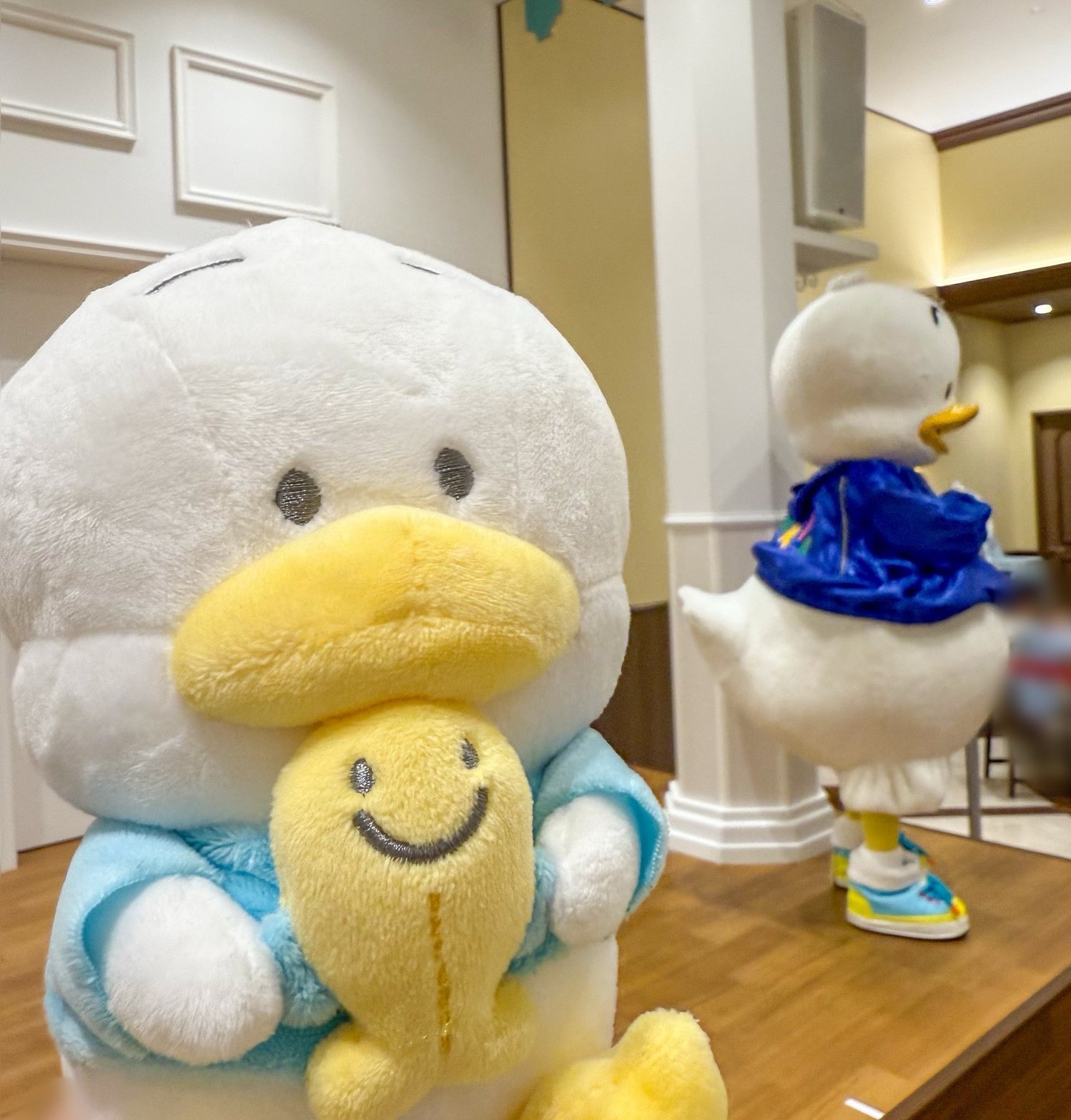 みっちゃん (@pekkle_micchan) / X