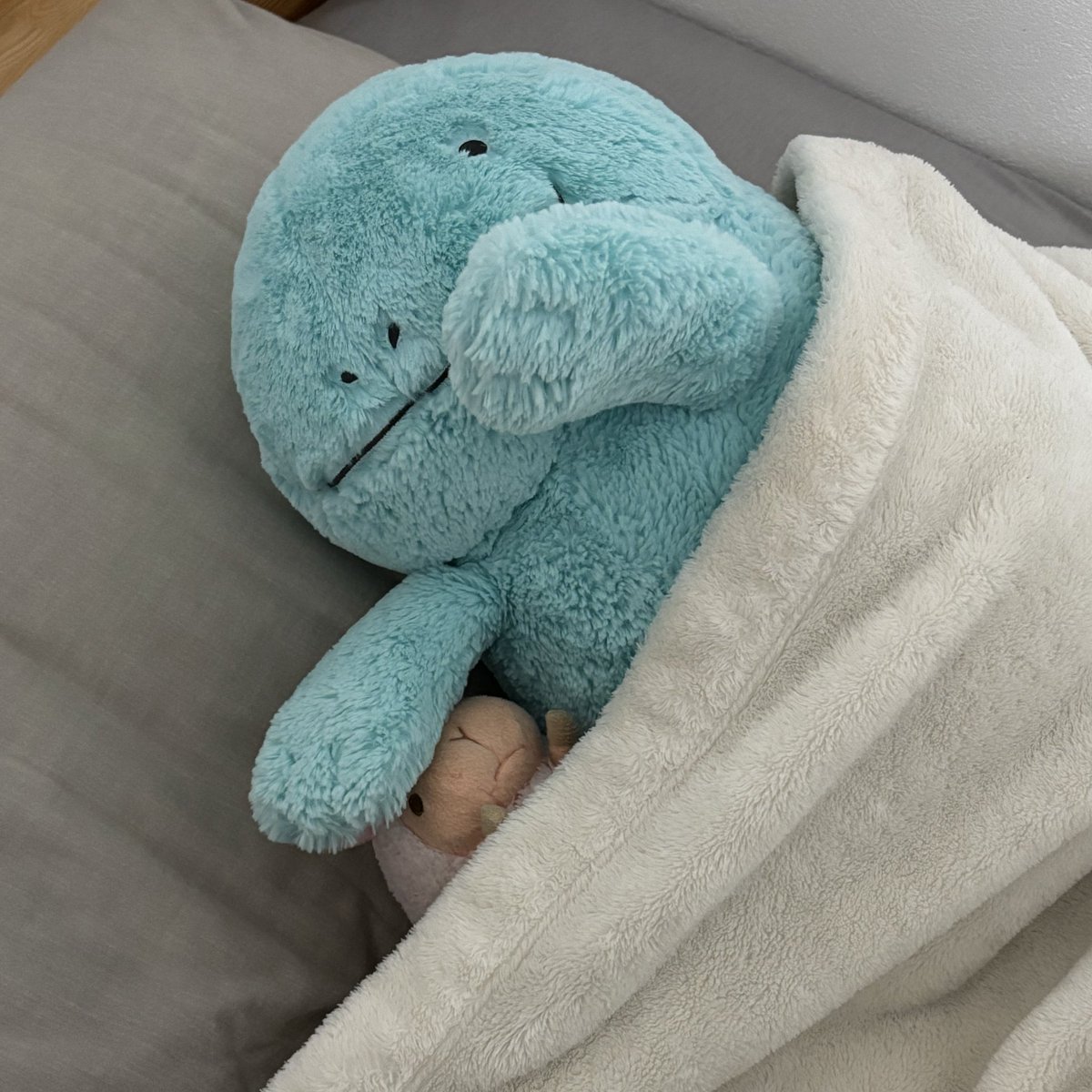 おふとん拝借してるぬよ