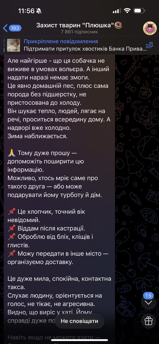NikaMastierova's tweet image. У Вінниці такса шукає дім🥺
Зробіть репост, на останньому фото контакт для звʼязку