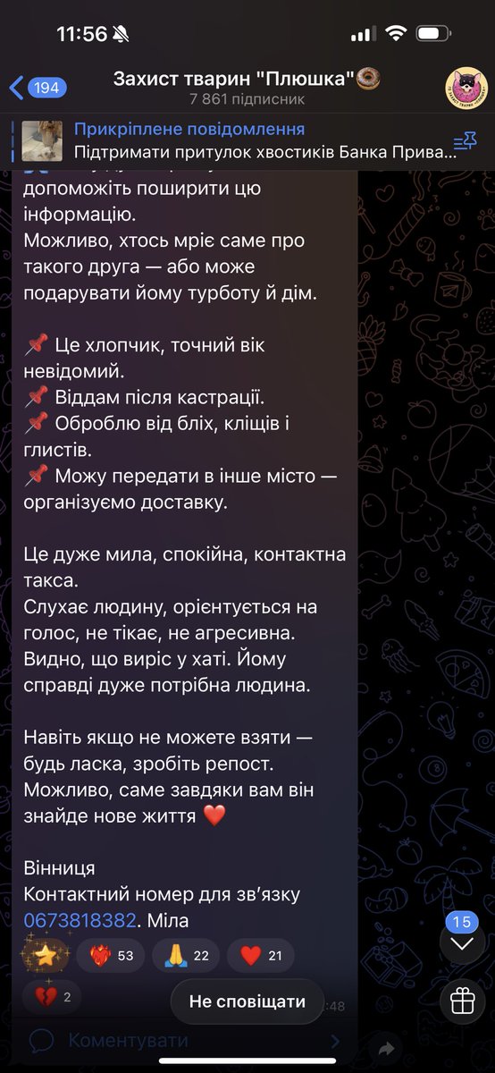 NikaMastierova's tweet image. У Вінниці такса шукає дім🥺
Зробіть репост, на останньому фото контакт для звʼязку