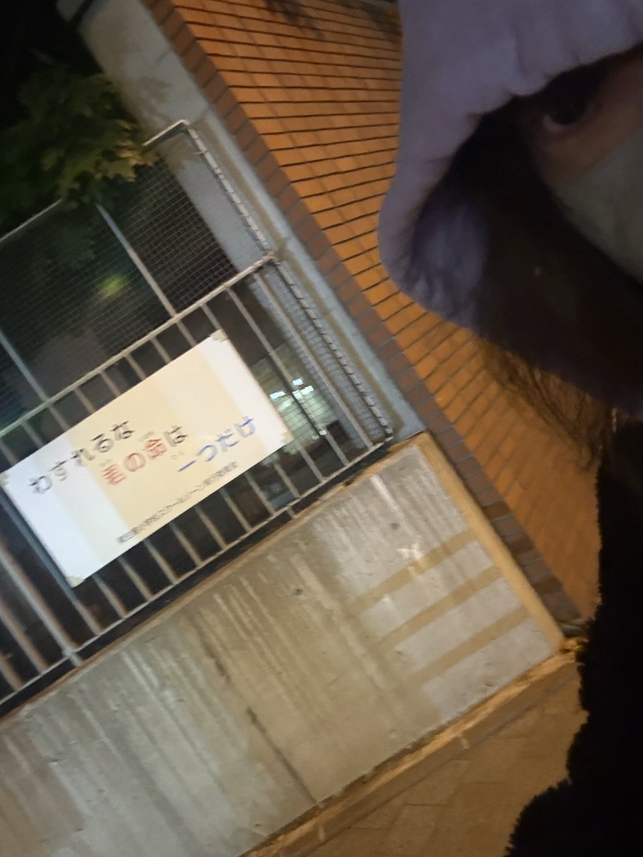 さきこ (@sakichandayo963) on Twitter photo 
