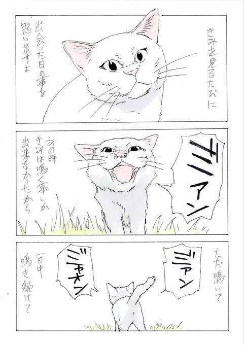 拾い猫のモチャ 『声』 