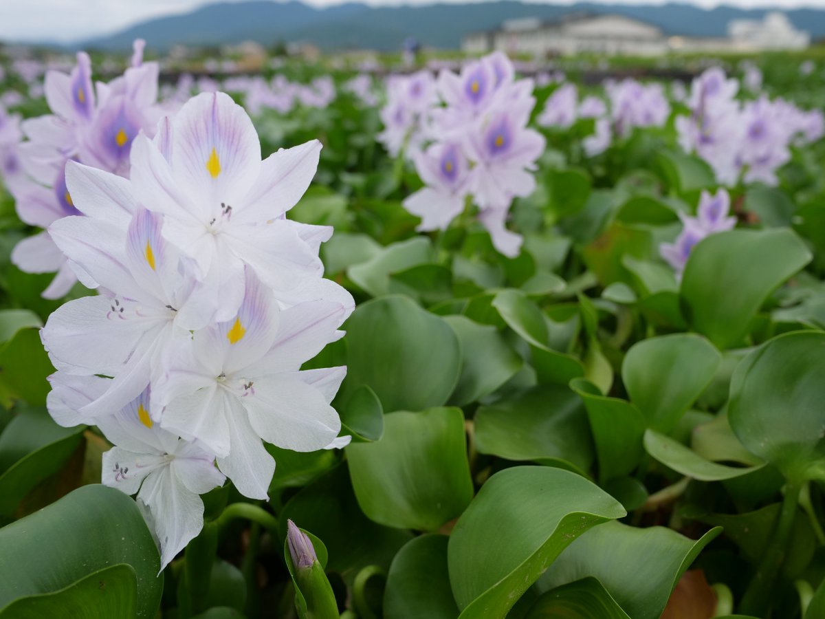 おつかれさま
今日もがんばった自分をほめてあげたい

#おつかれさま
#photography
#ファインダー越しの私の世界
#写真好きな人とつながりたい