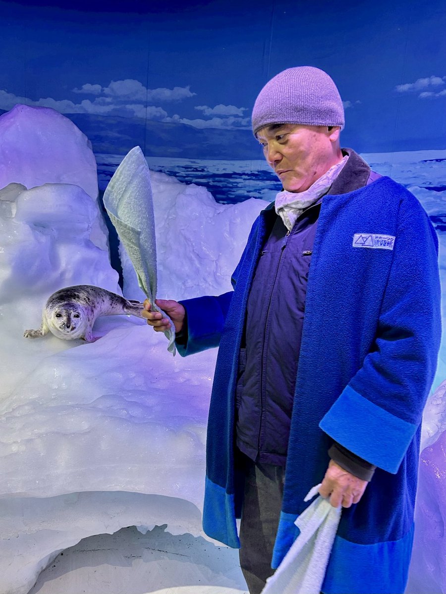 navybird (@UX3iIn1ZXj62819) / Posts / X