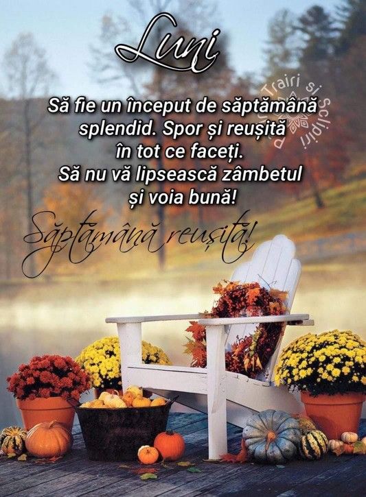 O după-amiază frumoasă și o săptămână binecuvântată de Dumnezeu vă doresc tuturor alături de cei dragi vouă!🍂🙏🍂