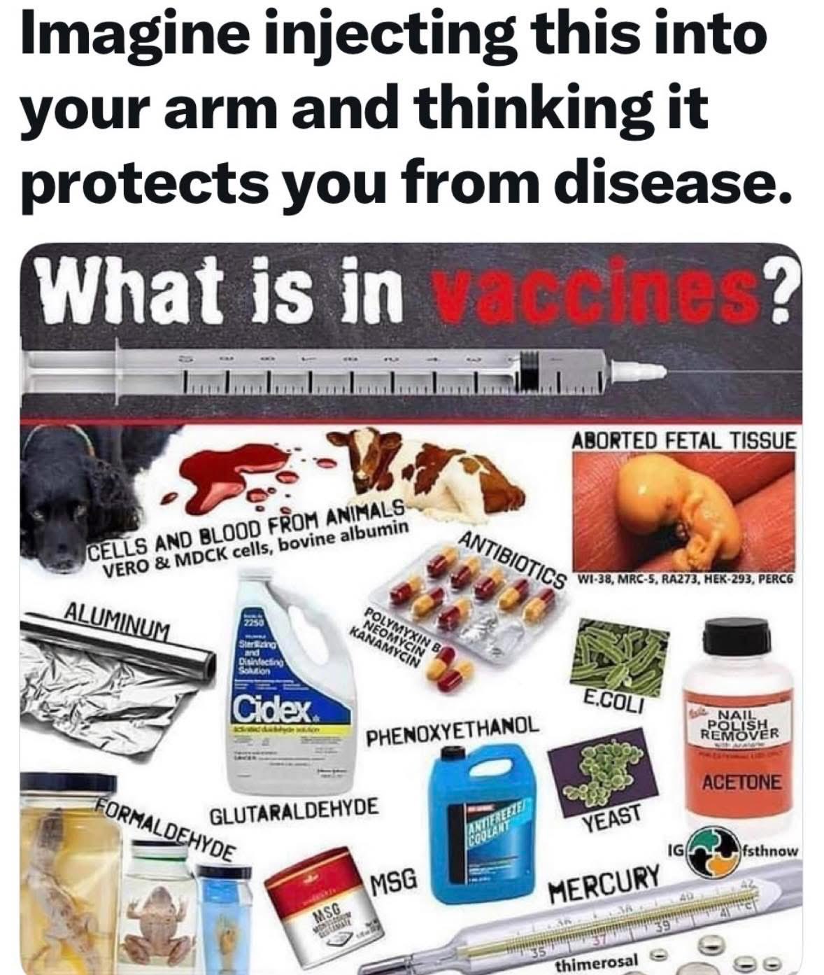 A graphic with a large syringe on the left side containing a green liquid. Text overlay reads Imagine injecting this into your arm and thinking it protects you from disease. What is in vaccines? Below it a collage of items including a jar labeled cells and blood from animals, a dish labeled aborted fetal tissue with a small fetus diagram, pill bottles labeled antibiotics, a container labeled aluminum and mdc, a bottle labeled bovine gelatin, a packet labeled yeast, a jar labeled formaldehyde glutaraldehyde, a bottle labeled msg, a vial labeled mercury thimerosal, a dish labeled e coli bacteria, a bottle labeled phenol ethanol, a container labeled formaldehyde acetone.