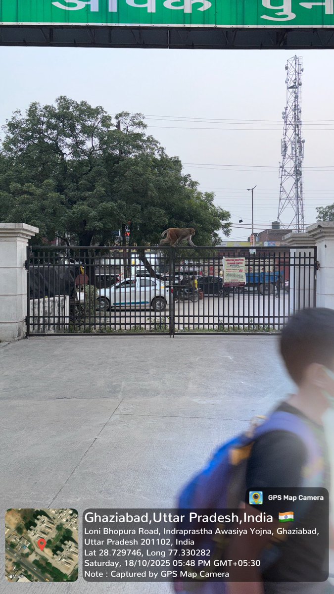ipresidents844's tweet image. @AMRUTCityGzb @CMOfficeUP @myogiadityanath @Npploni @gdagzb @dm_ghaziabad @upforestup GDA बहुमंज़िला बिल्डिंग इंद्रप्रस्थ योजना, लोनी में बंदरों का आतंक हर फ्लोर पर डेरा सैकड़ों बच्चे-बुज़ुर्ग त्यौहार पर घर में क़ैद प्रशासन ध्यान दे एवं तुरंत कार्यवाही करे GDA कर्मचारी पर भी हमला