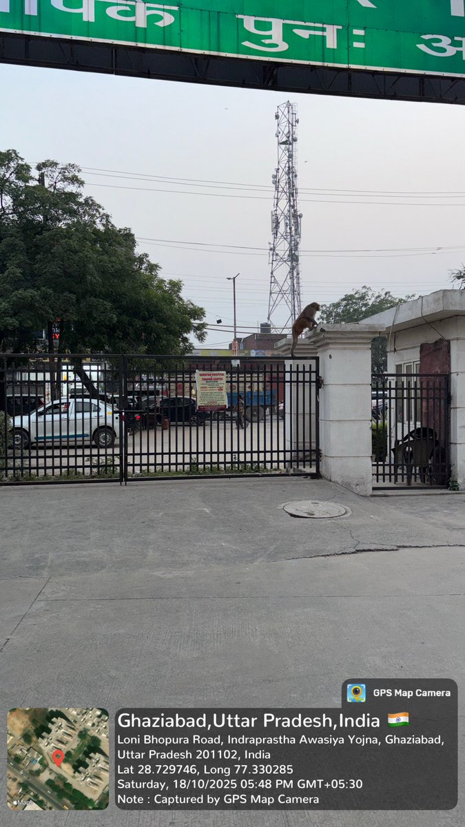 ipresidents844's tweet image. @AMRUTCityGzb @CMOfficeUP @myogiadityanath @Npploni @gdagzb @dm_ghaziabad @upforestup GDA बहुमंज़िला बिल्डिंग इंद्रप्रस्थ योजना, लोनी में बंदरों का आतंक हर फ्लोर पर डेरा सैकड़ों बच्चे-बुज़ुर्ग त्यौहार पर घर में क़ैद प्रशासन ध्यान दे एवं तुरंत कार्यवाही करे GDA कर्मचारी पर भी हमला