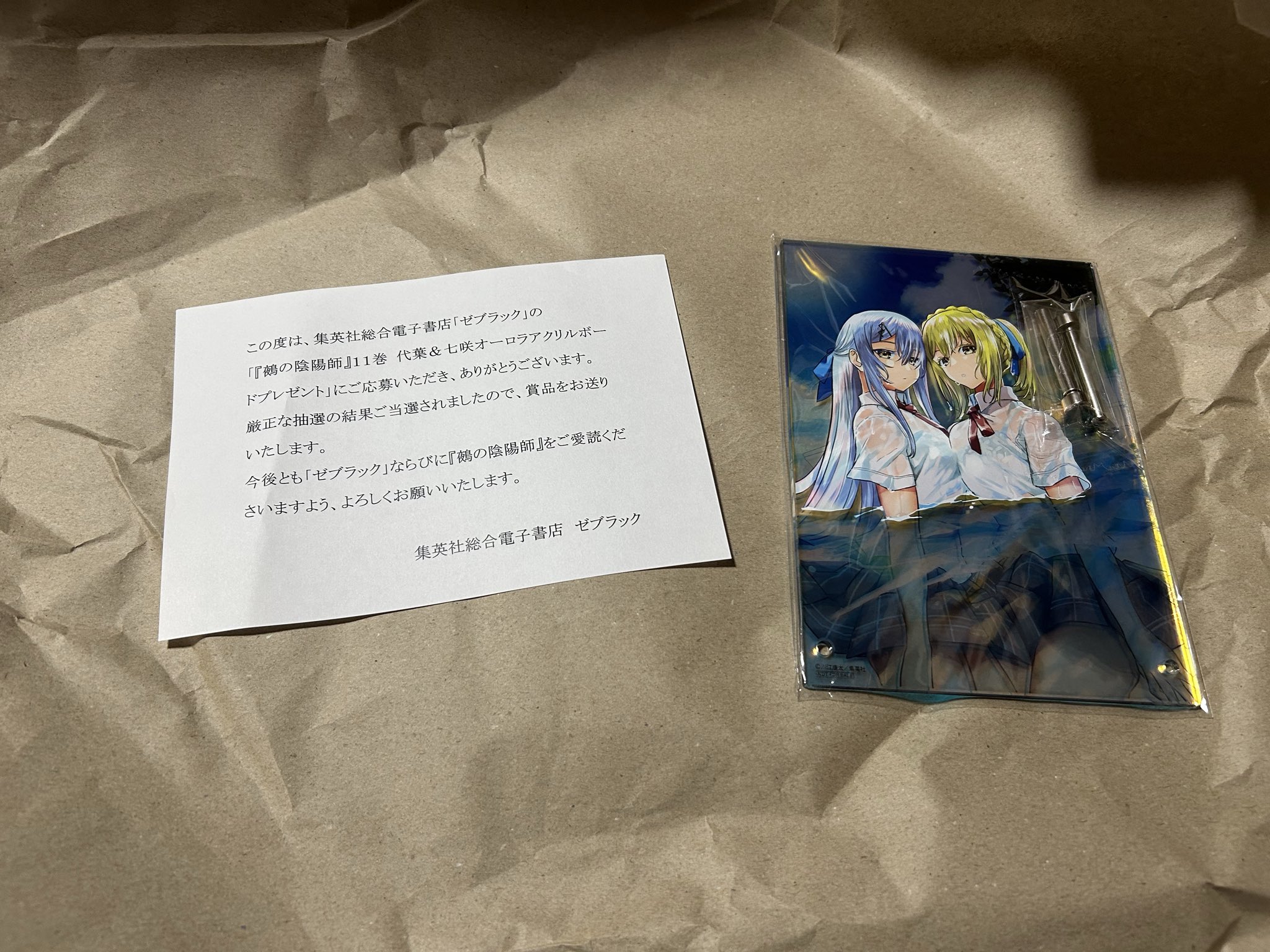 【100名限定】鵺の陰陽師 オーロラアクリルボード 100名限定】鵺の陰陽師 オーロラアクリルボード 100名限定】鵺の陰陽師