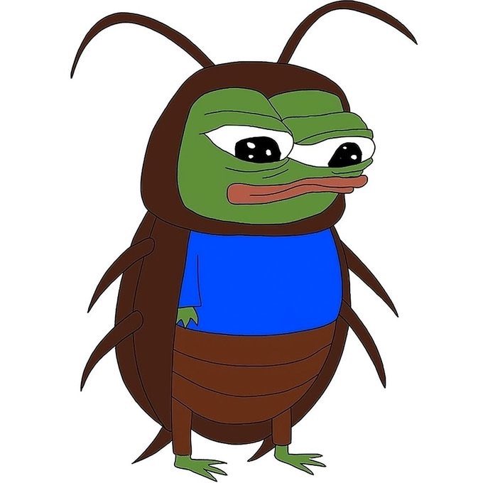 SolCockroach's tweet image. We don’t die on red candles - we breed
Every dip just feeds the colony
🪳🪳🪳🪳🪳
$Cockroach