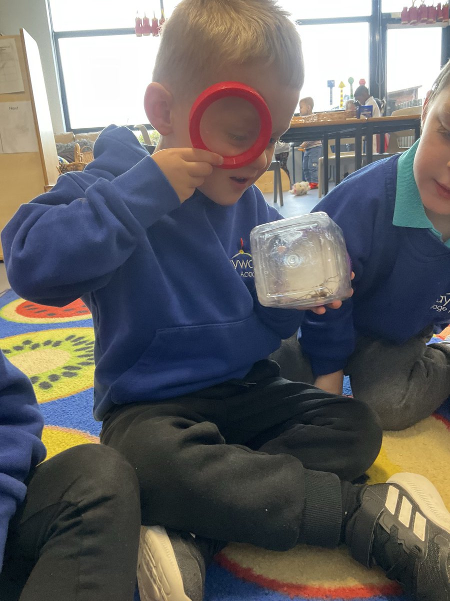 Today in Apple class we became scientists when we found a spider.

We were very interested in the spider and google helped us identify it as a giant house spider (tegenaria gigantea)!