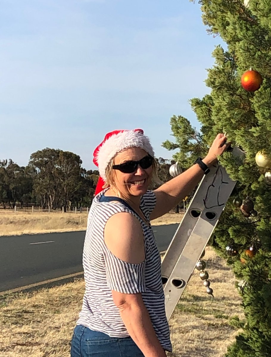 thyrafarmer's tweet image. Sad sad day. Local council has cut down the community Christmas tree. For over 20 years the community would decorate this locally critical endangered native Murray pine to bring joy to the community. Now it lies in a heap. Kick to the guts 😢😢