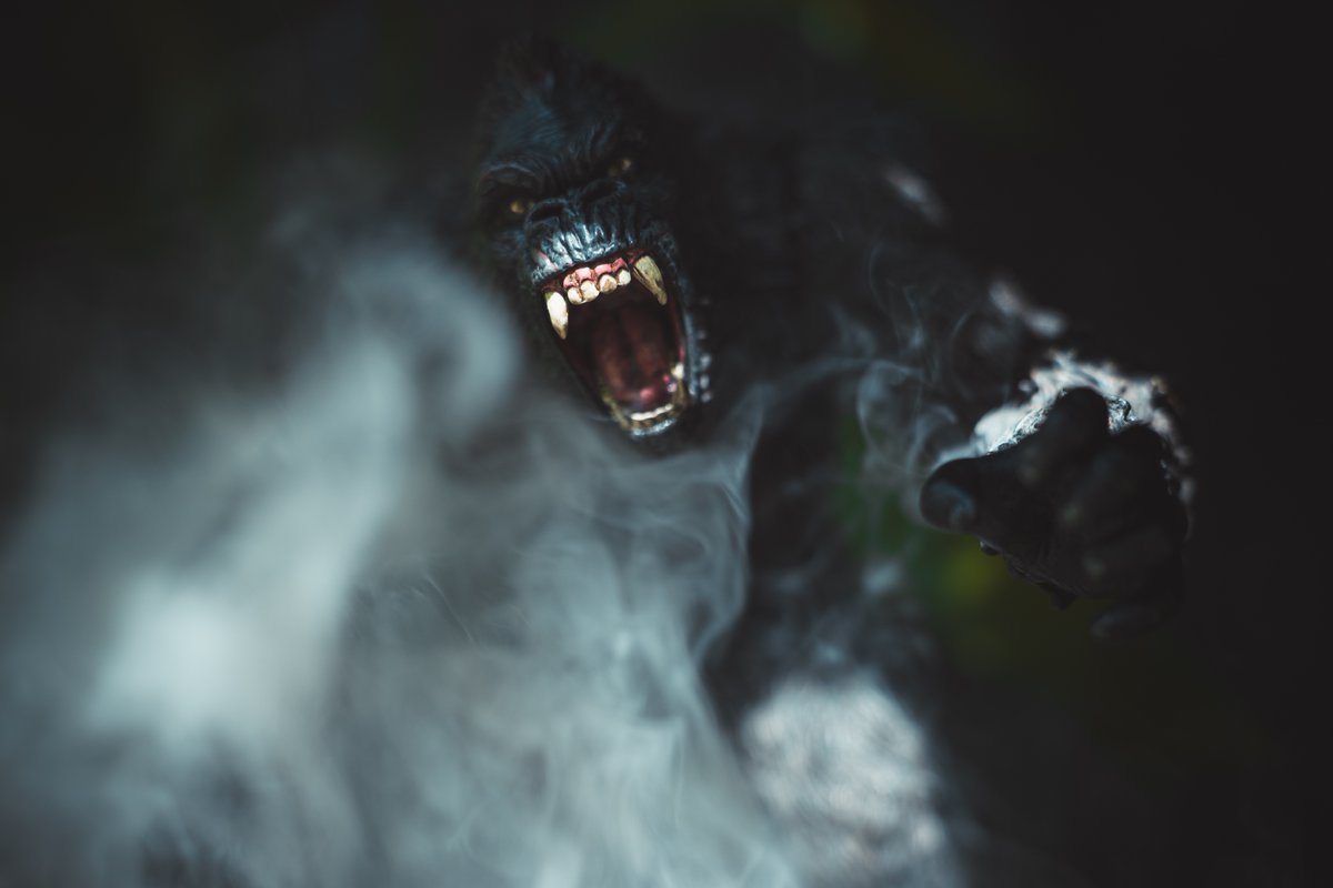 KING KONG 
#JaiPasFiniDeJOUET 
#kingkong #mezco #movie 
#photoygraphy #toyphotography #photooftheday #photos  
#gorille