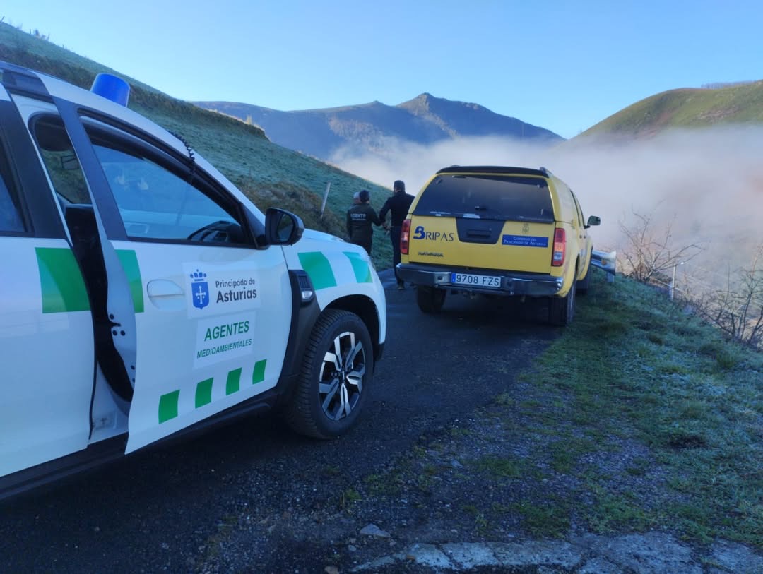 🟡🟢🔵EL INDICE DE RIESGO DE INCENDIO ES HOY ALTO, MODERADO Y BAJO EN ASTURIAS

ℹ️ Índice de riesgo de incendios forestales 👉 cutt.ly/V7yi2mQ

ℹ️ Normativa 👉 acortar.link/DmWiMp 

⚠️Recuerda que provocar un incendio es un delito grave.