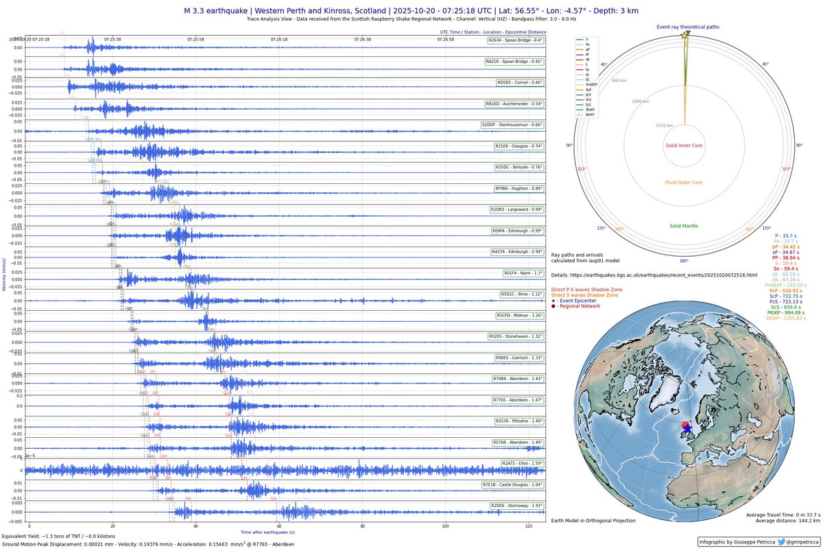Giuseppe Petricca tweet media