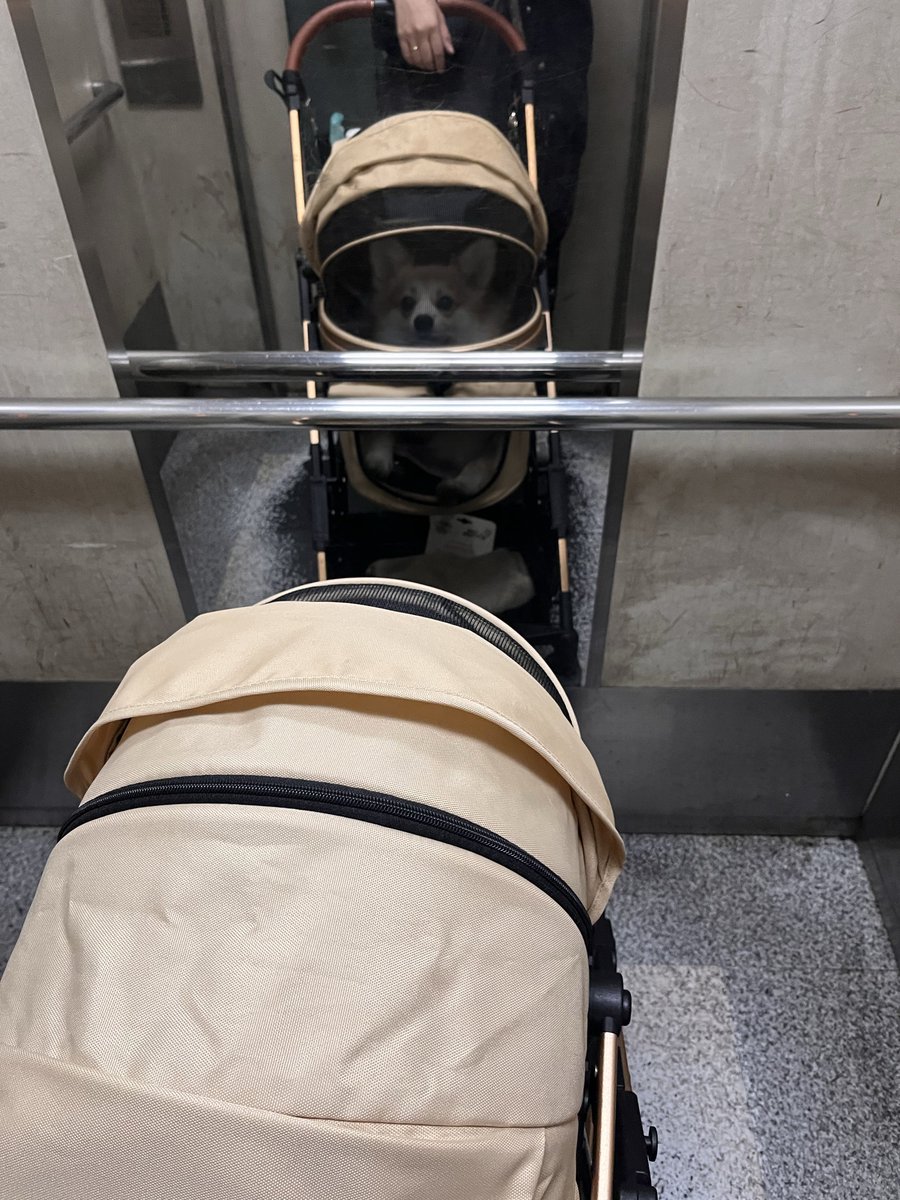 お天気でよかったよね〜🎶