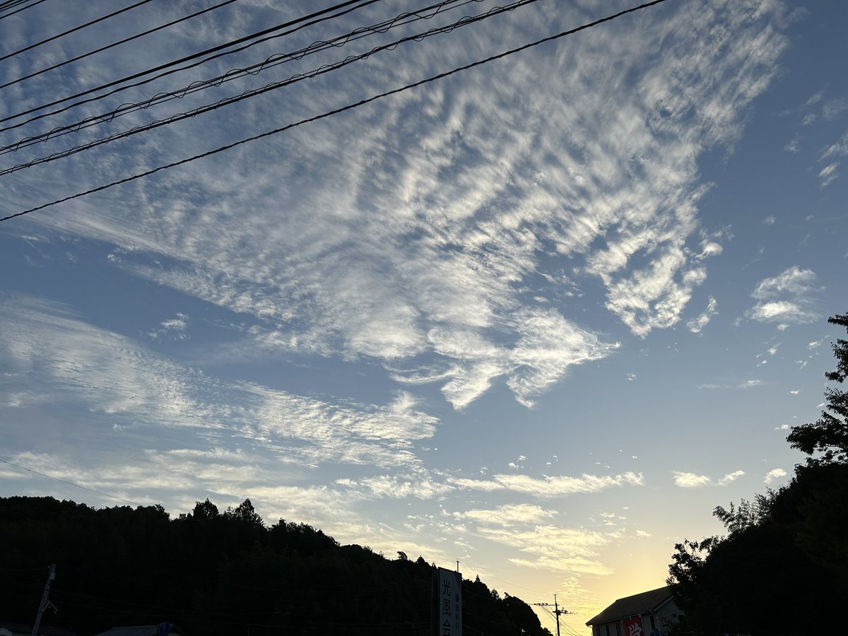 KyokoGuitar's tweet image. 久しぶり！
元気です！

けれど配信をする余裕はありません
もうしばらく待っててくださいね