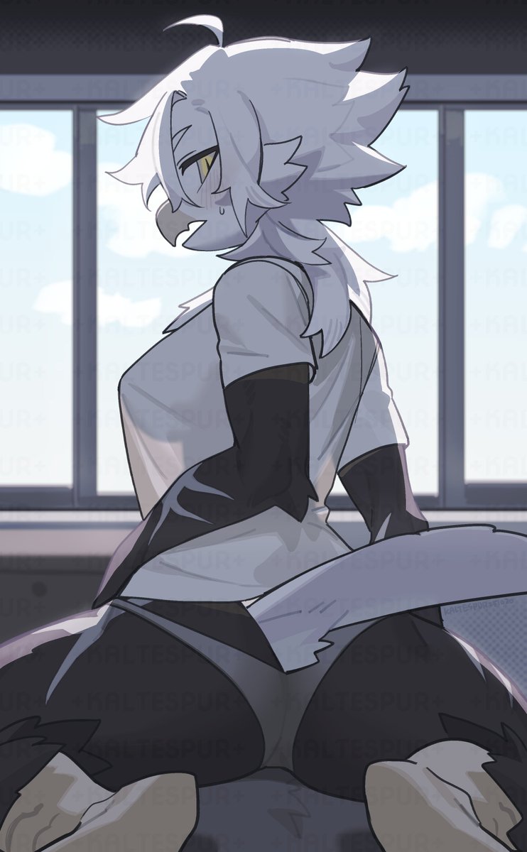 +Kaltespur+🔞 tweet media