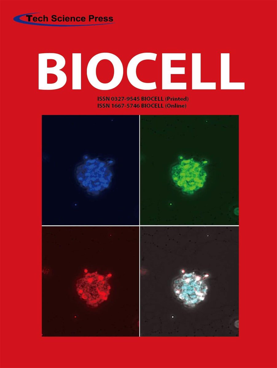SciOpenTUP (@sciopentup) on Twitter photo 🧬Journal of the Week: BIOCELL
Exploring cancer, regeneration & molecular life processes through peer-reviewed research.
👏Thanks to Editors-in-Chief Prof. Manuel A. Barbieri & <a href="/Applesnail_Fan/">Alfredo Castro-Vazquez</a>
🔗sciopen.com/journal/0327-9…
#SciOpen #TUP #Openaccess <a href="/SAIB_Argentina/">@SAIB</a> <a href="/Tsinghua_Uni/">Tsinghua University</a> 🧬Journal of the Week: BIOCELL
Exploring cancer, regeneration & molecular life processes through peer-reviewed research.
👏Thanks to Editors-in-Chief Prof. Manuel A. Barbieri & <a href="/Applesnail_Fan/">Alfredo Castro-Vazquez</a>
🔗sciopen.com/journal/0327-9…
#SciOpen #TUP #Openaccess <a href="/SAIB_Argentina/">@SAIB</a> <a href="/Tsinghua_Uni/">Tsinghua University</a>