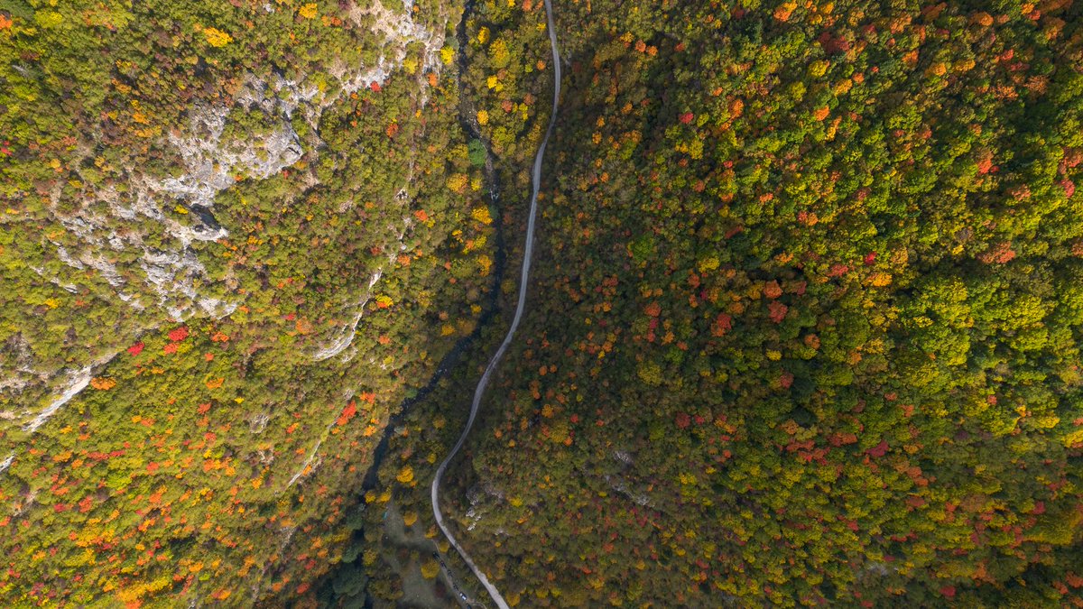 _strshlen's tweet image. Малку боја во сивилово..
🇲🇰