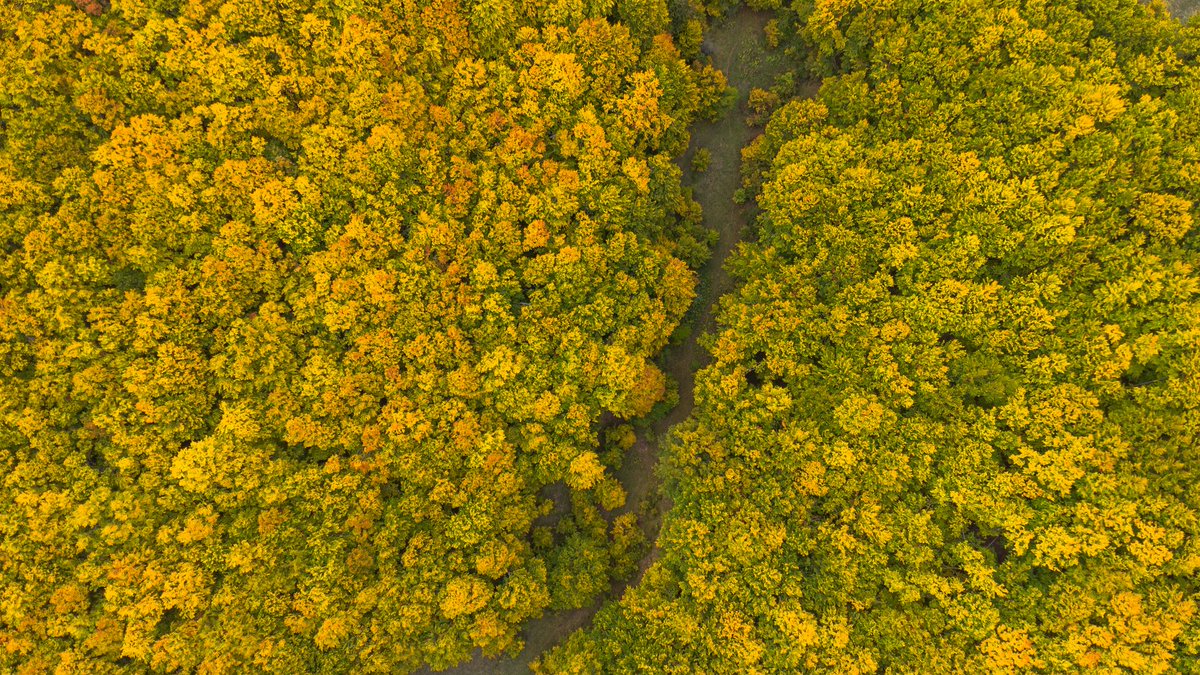 Малку боја во сивилово..
🇲🇰
