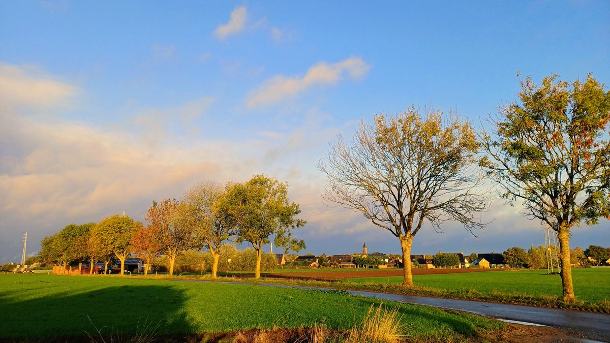 Ronny Popelier (@juron26) on Twitter photo #vrtweer Ronny Popelier Ooigem 9h03 #vrtweer Ronny Popelier Ooigem 9h03