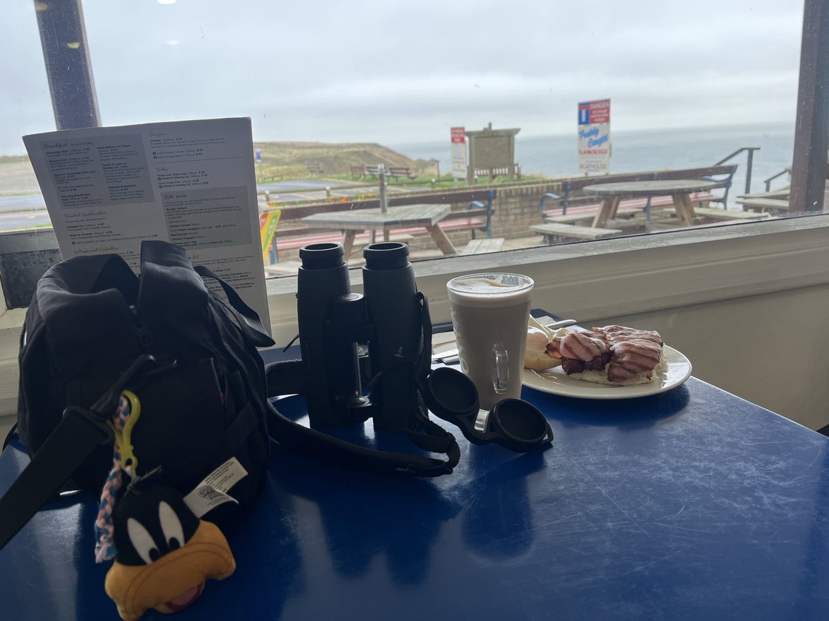 A little refuelling during a morning wander, whilst the clan are swimming 😊