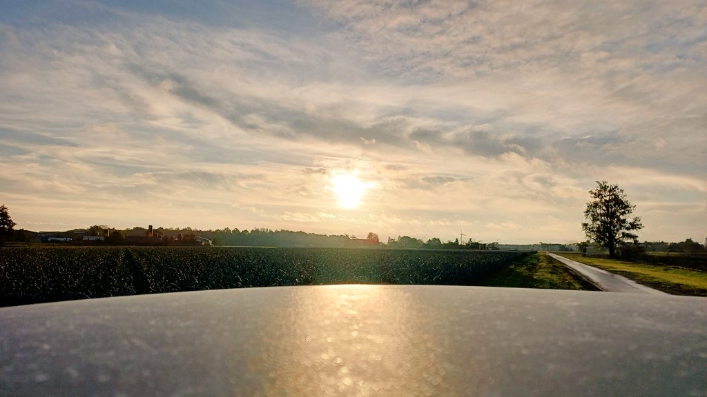 Ronny Popelier (@juron26) on Twitter photo #vrtweer Ronny Popelier Ooigem 9h04 #vrtweer Ronny Popelier Ooigem 9h04