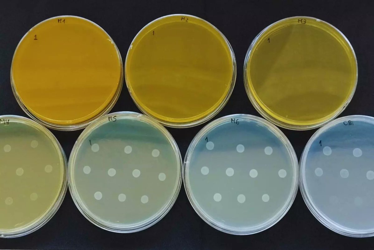 INTA Informa tweet media