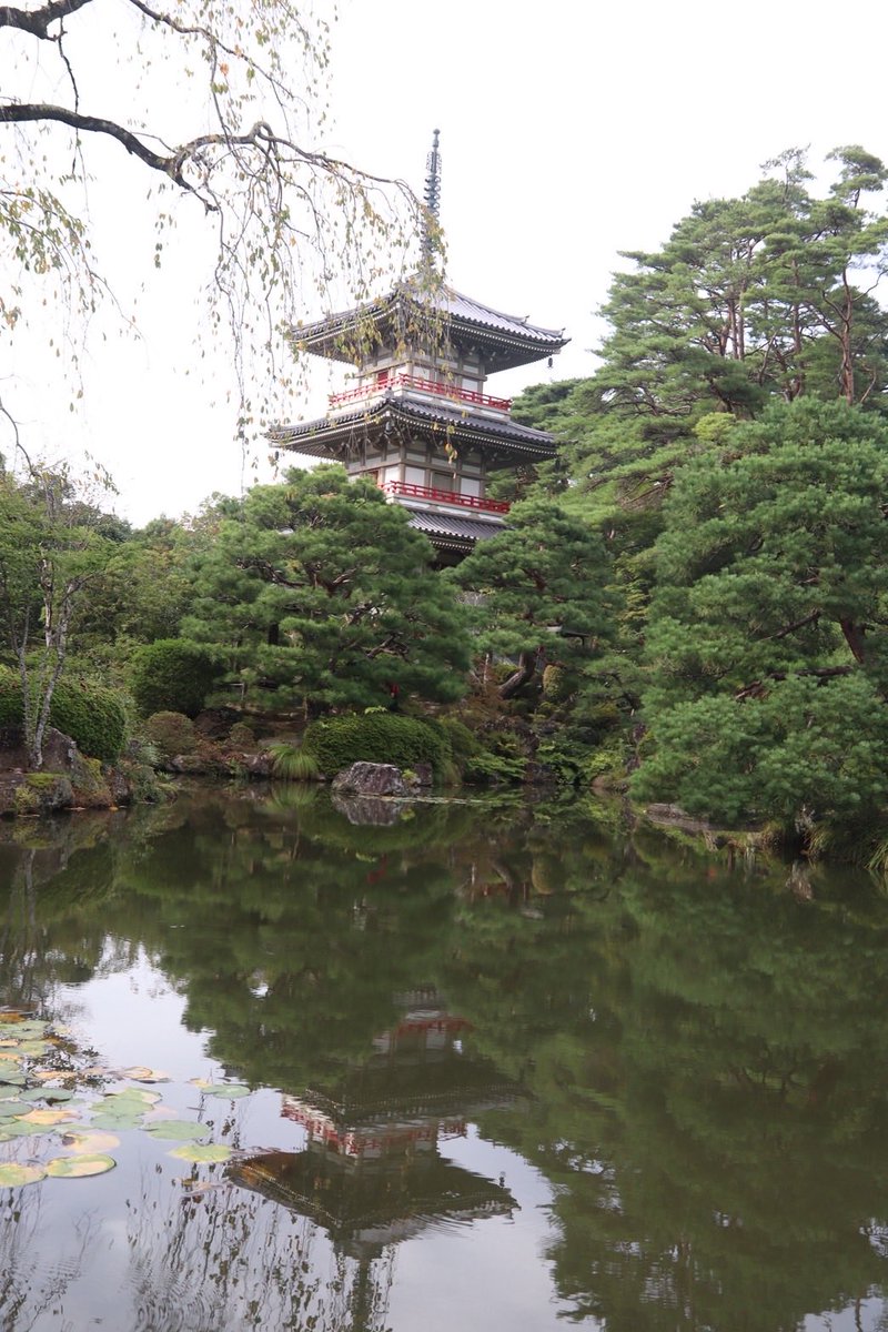 buruda_'s tweet photo. レイヤーさんが来れなくなったため募集します！！！寺の方は既に撮影の予約済のためぜひ来てください！（FF内限定）
#併せ募集
リプ欄に紅葉の写真続く https://t.co/ZlGJ36z4yN