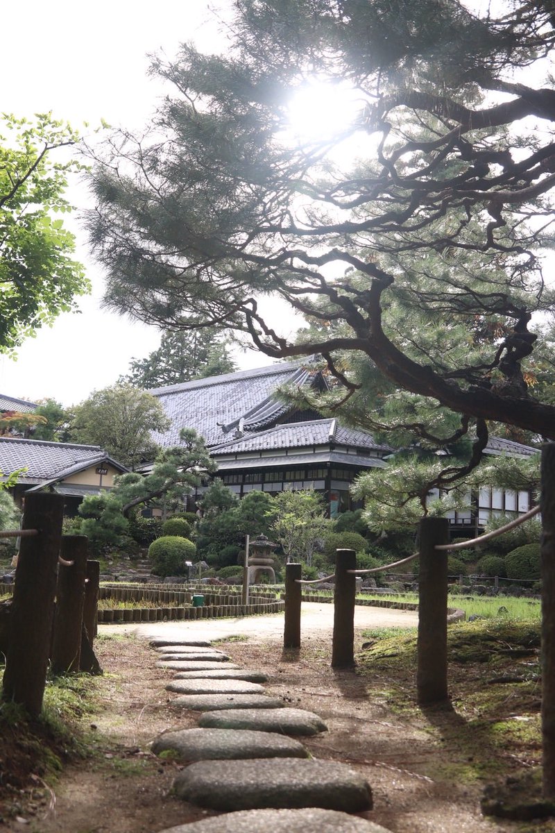 buruda_'s tweet photo. レイヤーさんが来れなくなったため募集します！！！寺の方は既に撮影の予約済のためぜひ来てください！（FF内限定）
#併せ募集
リプ欄に紅葉の写真続く https://t.co/ZlGJ36z4yN