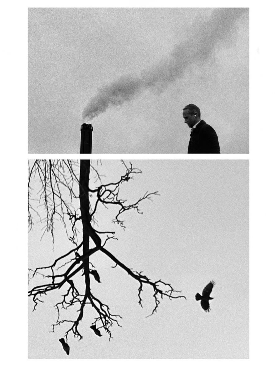 0xKant_'s tweet image. NOCK: Proofs as the New Collateral of Money

This long-form post dives into $BTC, $ZEC, and $NOCK

How they compare, and where each improves on the other. Please share and follow for more. 
Let’s deep dive

#Bitcoin proved scarcity.
#Zcash proved privacy.
#Nockchain now proves…