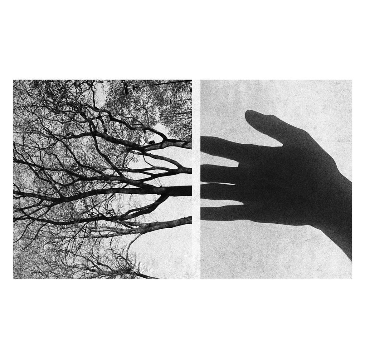 0xKant_'s tweet image. NOCK: Proofs as the New Collateral of Money

This long-form post dives into $BTC, $ZEC, and $NOCK

How they compare, and where each improves on the other. Please share and follow for more. 
Let’s deep dive

#Bitcoin proved scarcity.
#Zcash proved privacy.
#Nockchain now proves…