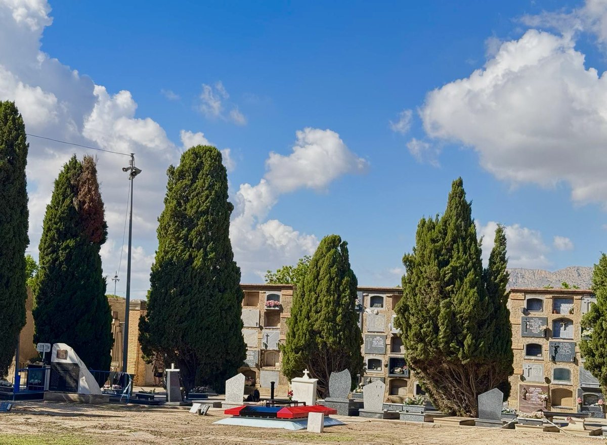 Alicante 📍

Restauración de la fosa que en su día acogió al eterno Jefe Nacional.

¡PRESENTE!