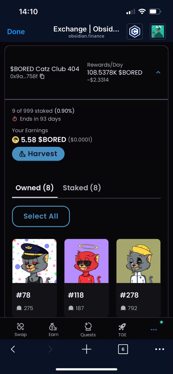 Blauweridder1's tweet image. Firsts swapped 1M $BORED for another Bored Catz nft and then staked them all!