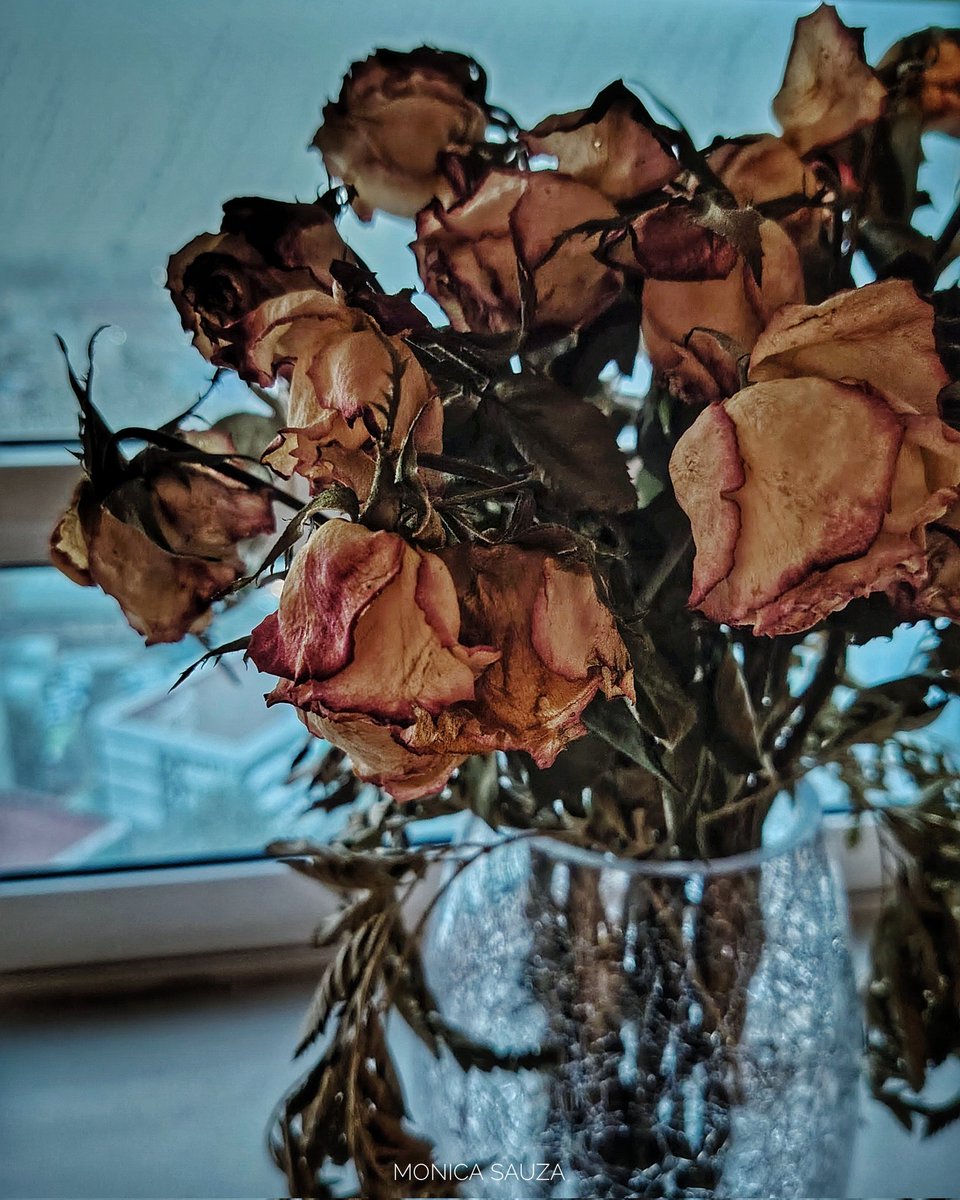 mosave_87's tweet photo. El corazón es el único instrumento que, aún destrozado, trabaja.
Théophile Gautier
📷 IG: monicasauza
#cdmx #mexicocity #florero #rosas #decoracion https://t.co/lJo3zEZeui